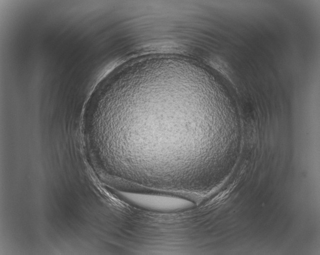 X0000058771071200510031039