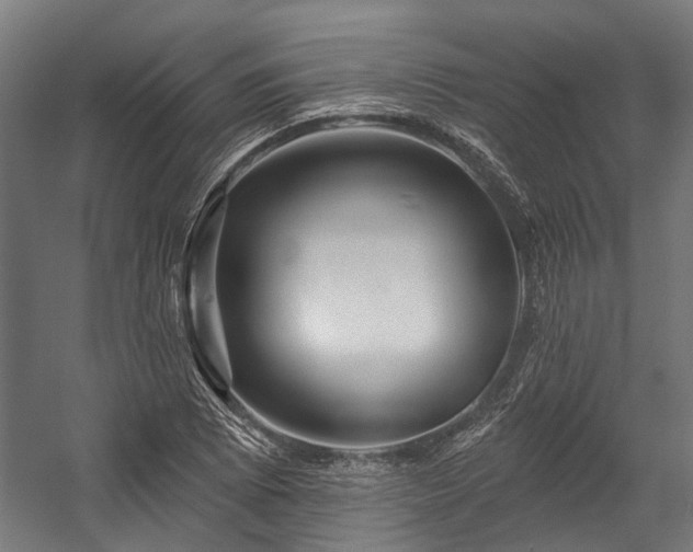 X0000058771073200510031039