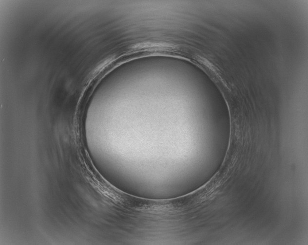 X0000058771074200510031039