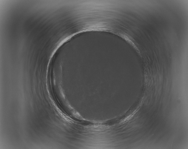 X0000058771077200510031039