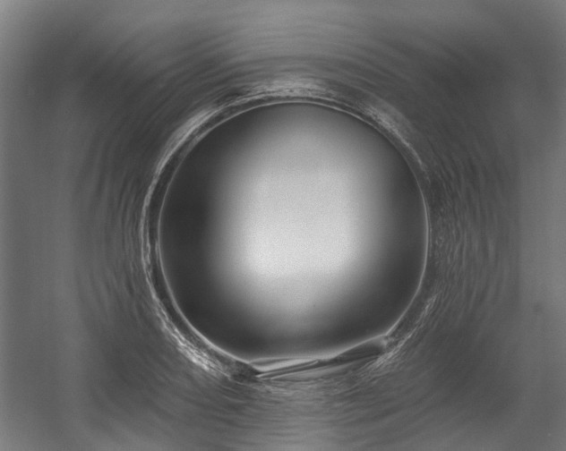 X0000058771082200510031039