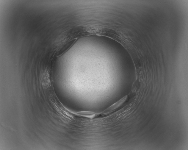 X0000058771106200510031038