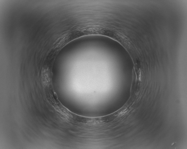 X0000058771107200510031038
