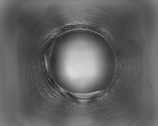 X0000058771110200510031038