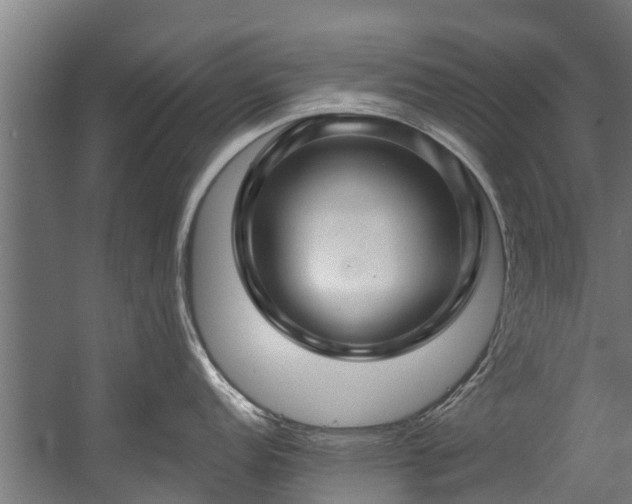 X0000058771152200510031039