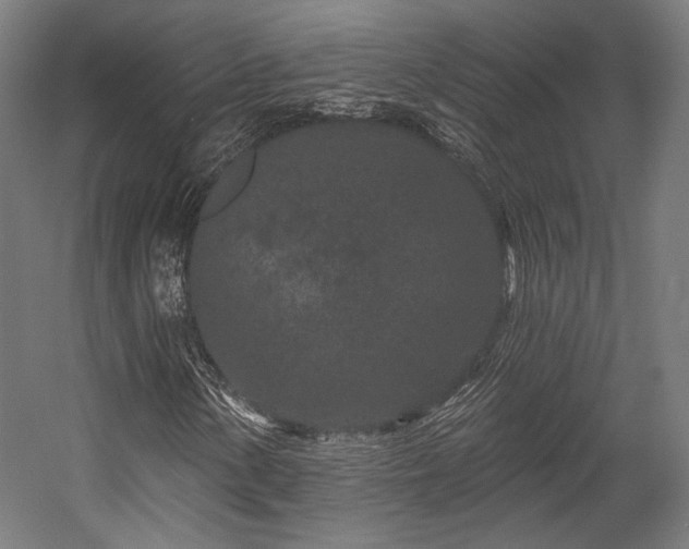 X0000058771154200510031038