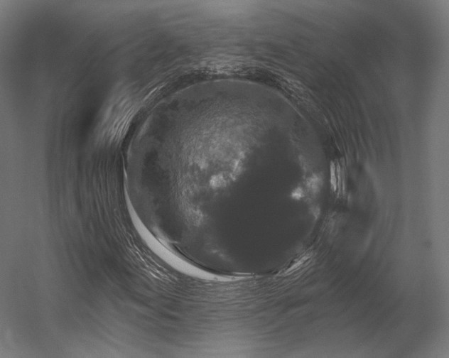 X0000058771155200510031038