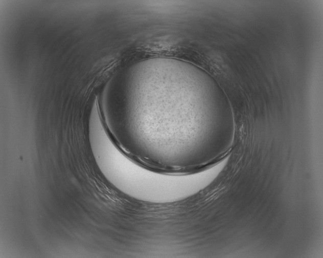X0000058771156200510031038