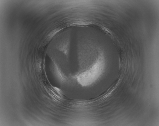 X0000058771161200510031038