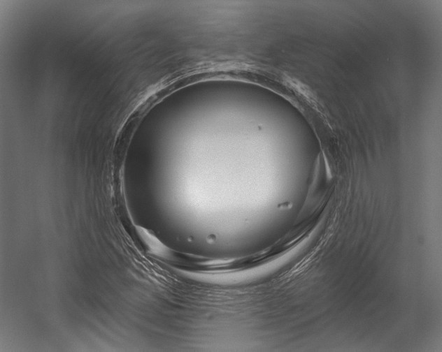 X0000058771165200510031038