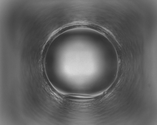 X0000058771168200510031038