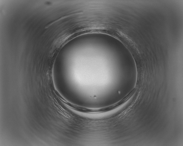 X0000058771169200510031038