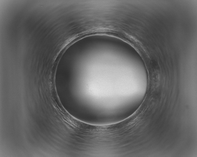 X0000058771170200510031038
