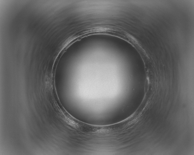 X0000058771178200510031037