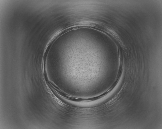 X0000058771180200510031037