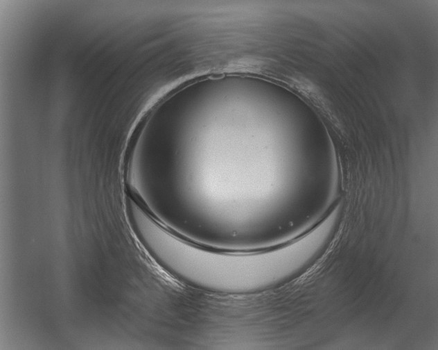X0000058771184200510031037