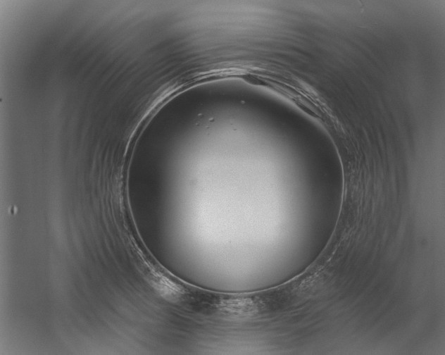X0000058771186200510031037