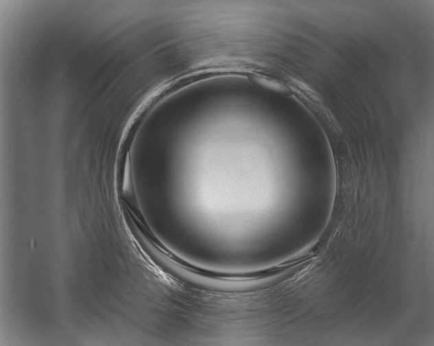 X0000058771188200510031037