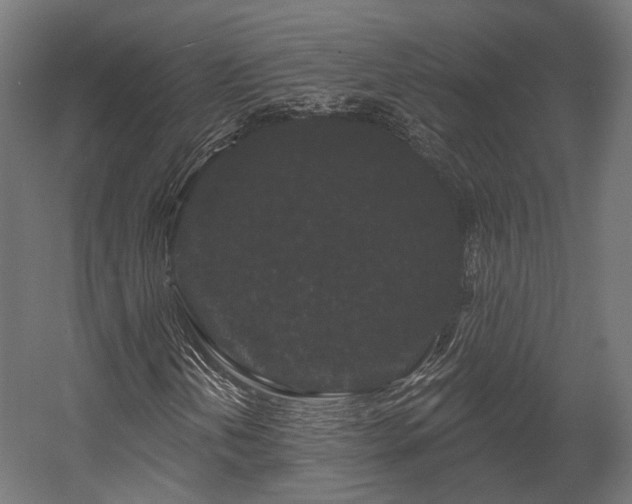 X0000058771202200510031036
