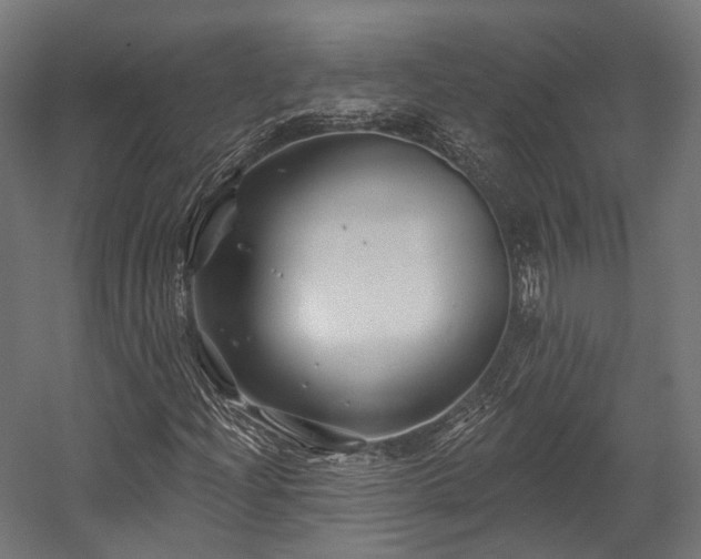 X0000058771204200510031036