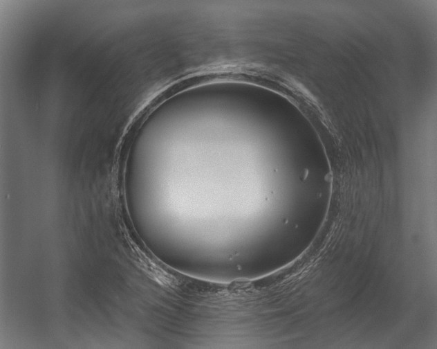 X0000058771216200510031037