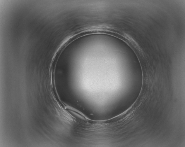 X0000058771224200510031037
