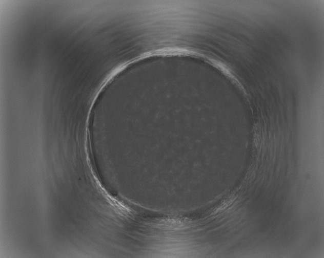 X0000058771229200510031037
