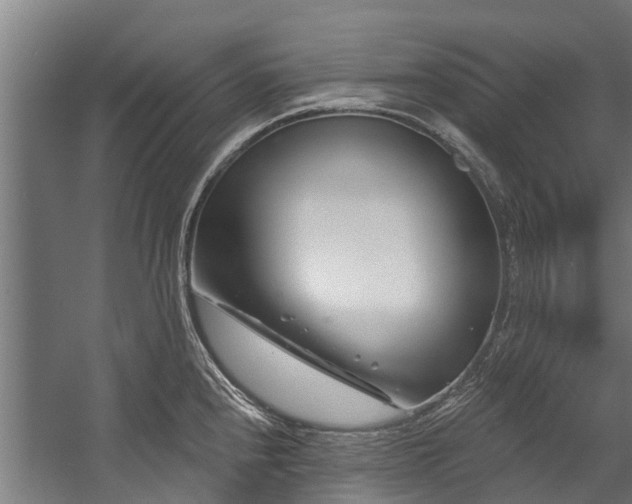 X0000058771240200510031037