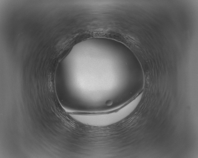 X0000058771252200510031036