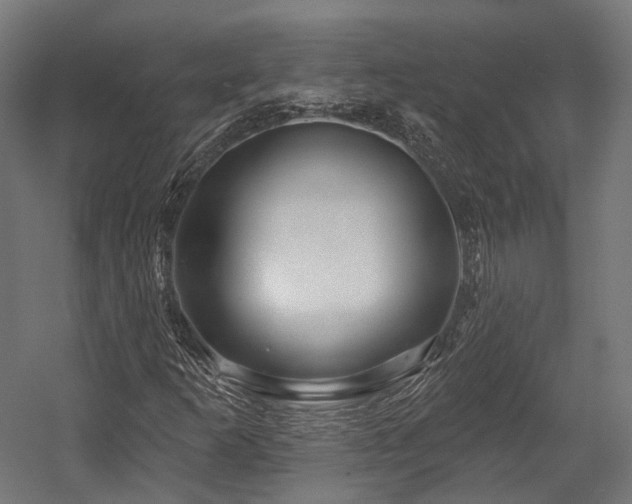 X0000058771253200510031036