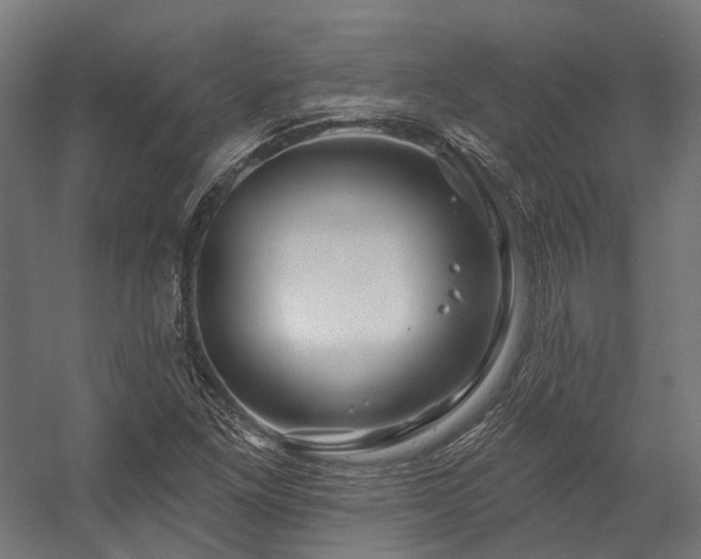 X0000058771261200510031036