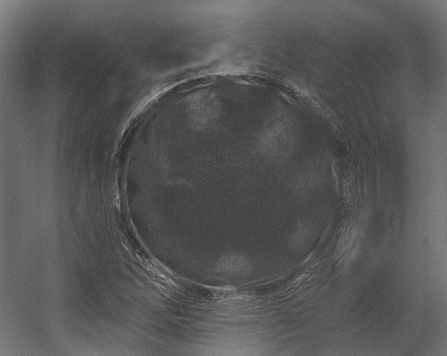 X0000058771262200510031036