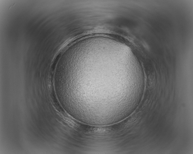 X0000058771266200510031036
