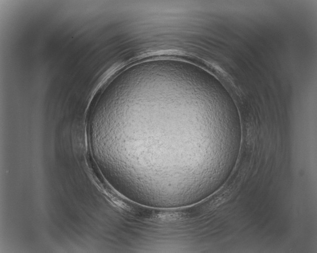 X0000058771274200510031036