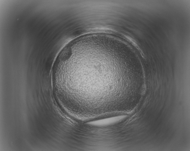 X0000058771275200510031036