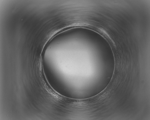 X0000058771276200510031036