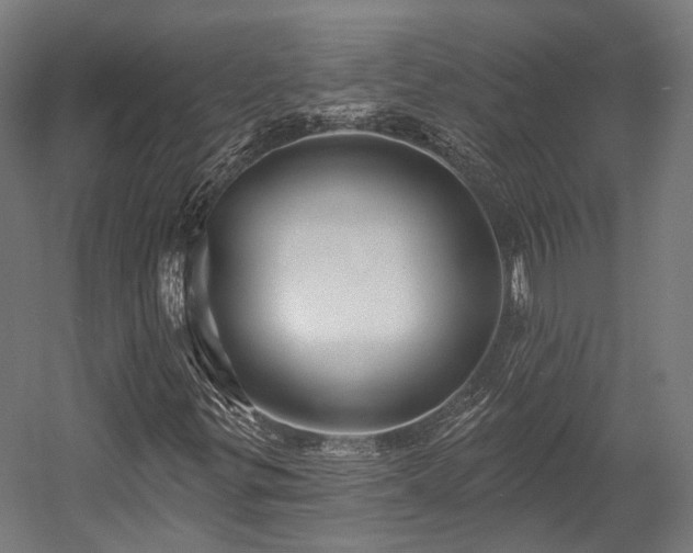 X0000058771299200510031035