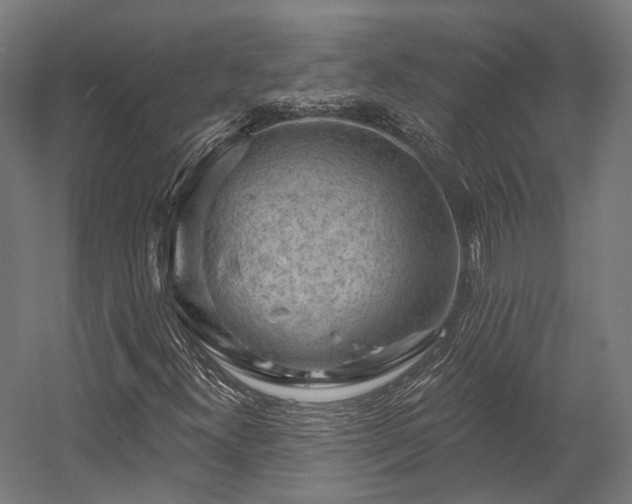 X0000058771300200510031035