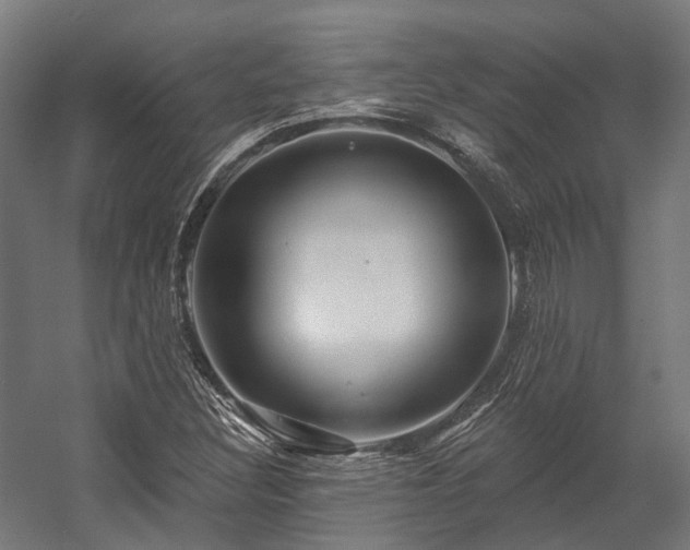 X0000058771308200510031035
