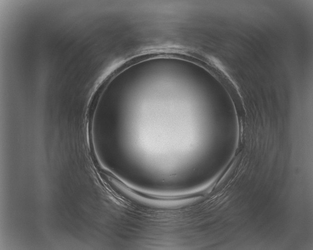 X0000058771320200510031035