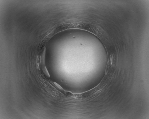 X0000058771347200510031034