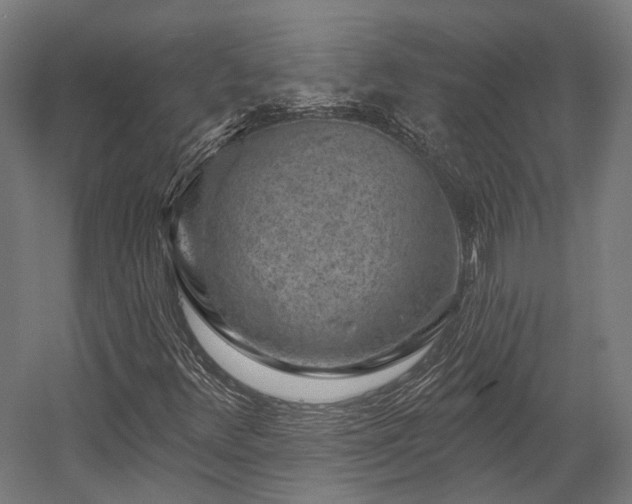X0000058771348200510031034
