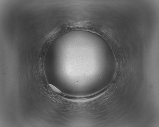 X0000058771350200510031034