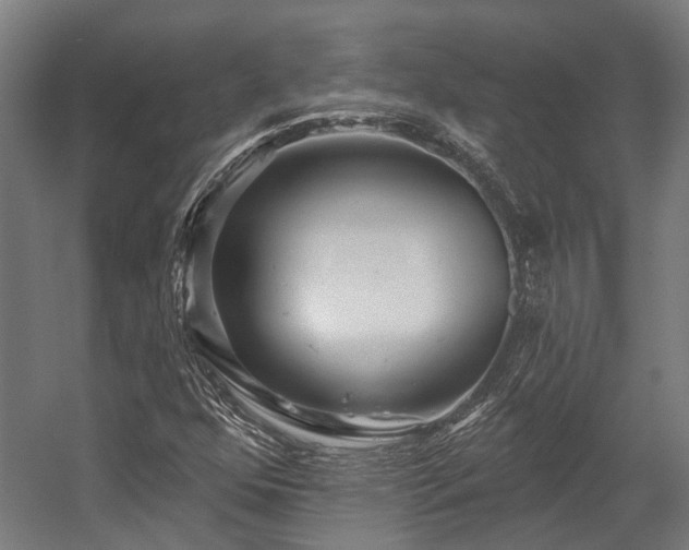 X0000058771352200510031034