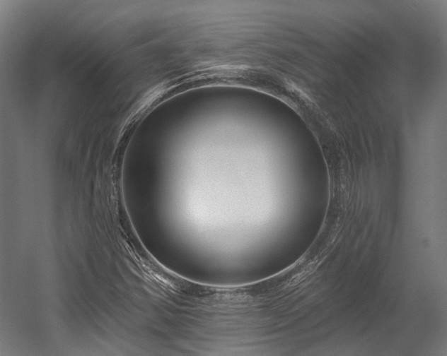 X0000058771354200510031034