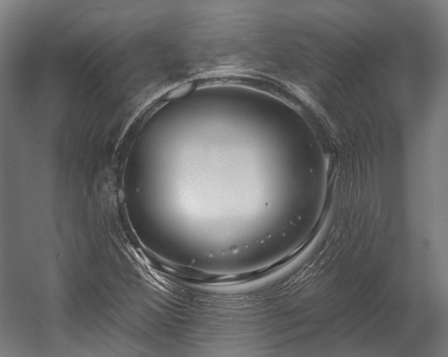 X0000058771356200510031034
