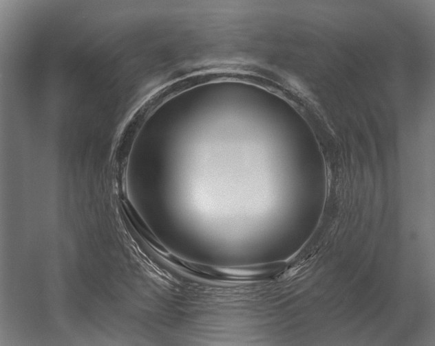 X0000058771360200510031034