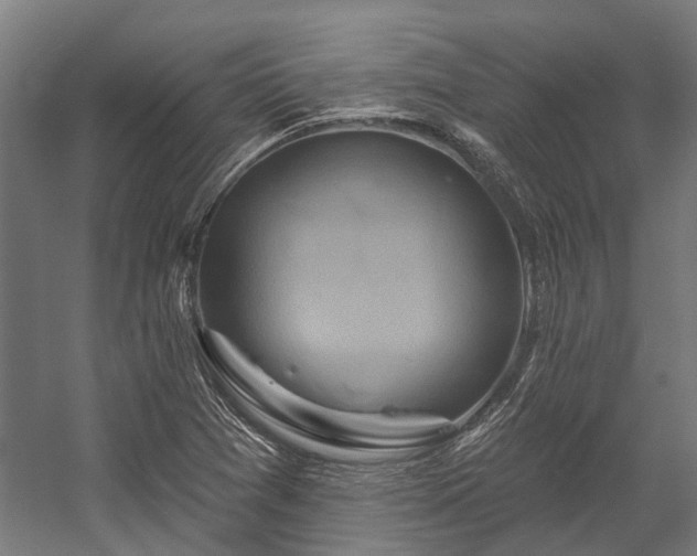 X0000058771361200510031034