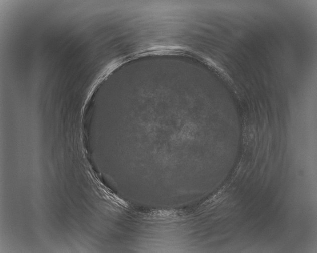 X0000058771362200510031034