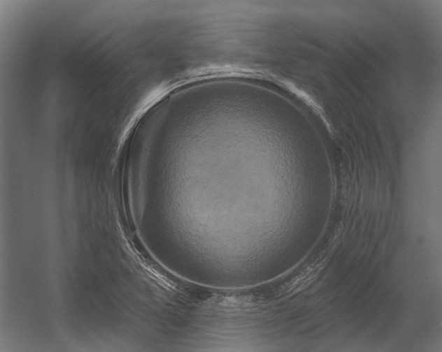 X0000058771365200510031034